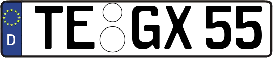TE-GX55
