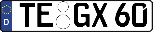 TE-GX60
