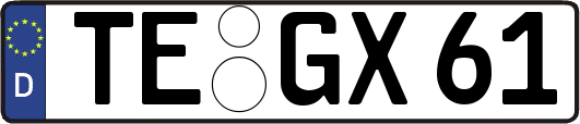 TE-GX61