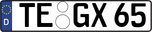TE-GX65