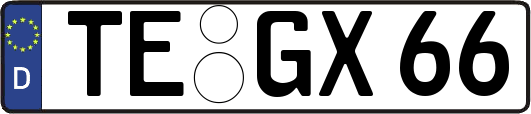 TE-GX66