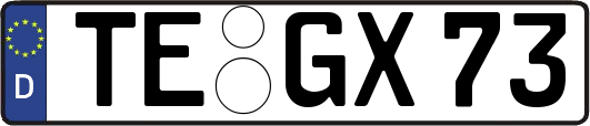 TE-GX73