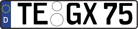 TE-GX75