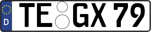 TE-GX79