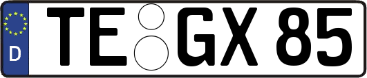 TE-GX85