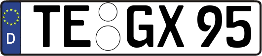 TE-GX95