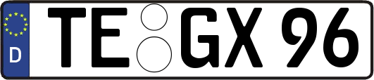 TE-GX96