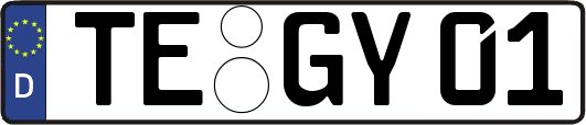TE-GY01