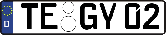 TE-GY02