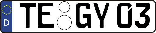 TE-GY03