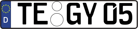 TE-GY05