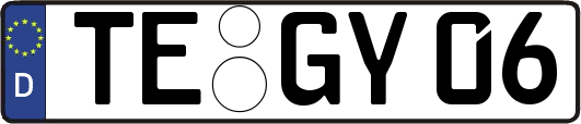 TE-GY06