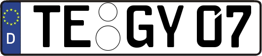 TE-GY07
