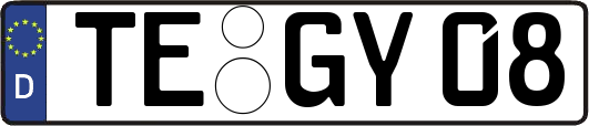 TE-GY08