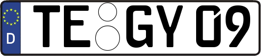 TE-GY09