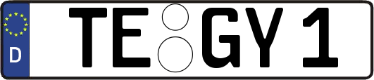 TE-GY1