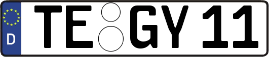 TE-GY11