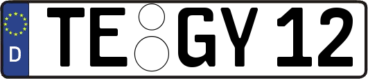 TE-GY12