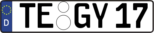 TE-GY17