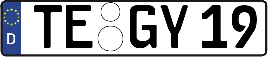 TE-GY19