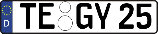 TE-GY25