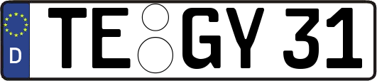 TE-GY31