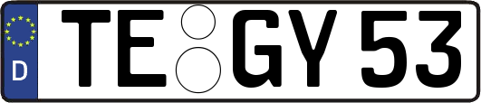 TE-GY53
