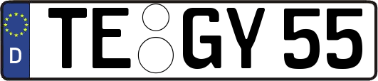 TE-GY55