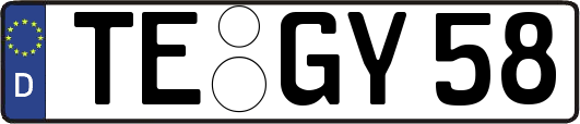 TE-GY58
