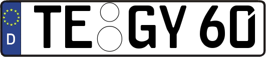 TE-GY60