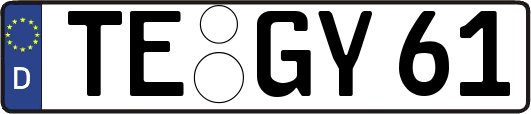 TE-GY61