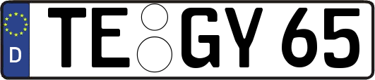 TE-GY65