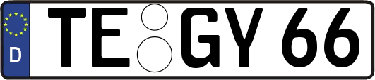 TE-GY66