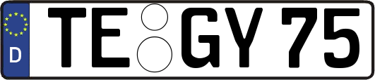 TE-GY75