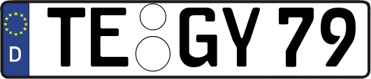 TE-GY79