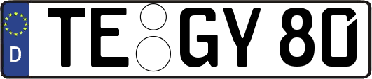 TE-GY80