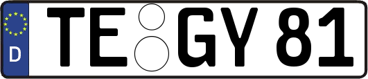 TE-GY81