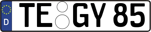 TE-GY85