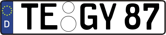 TE-GY87