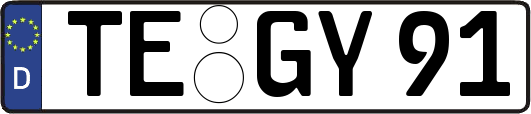 TE-GY91