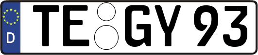 TE-GY93