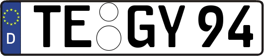 TE-GY94