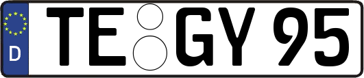 TE-GY95
