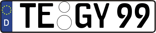 TE-GY99