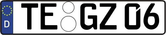 TE-GZ06