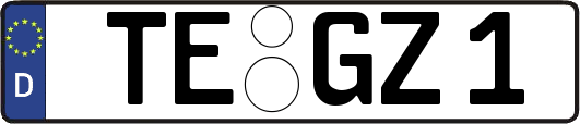 TE-GZ1