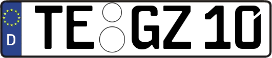 TE-GZ10