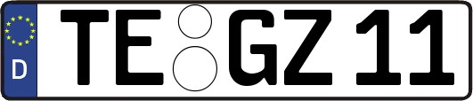 TE-GZ11