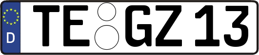 TE-GZ13