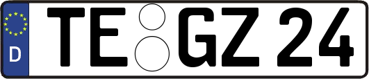 TE-GZ24